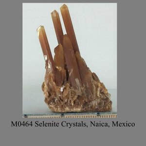 M0464 Selenite Crystals, Naica, Mexico