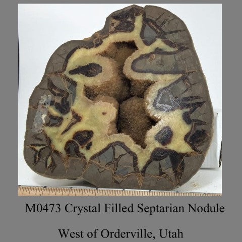 M0473 Crystal Filled Septarian Nodule West of Orderville, Utah