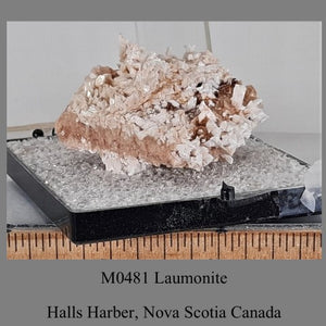 M0481 Laumonite Halls Harber, Nova Scotia Canada