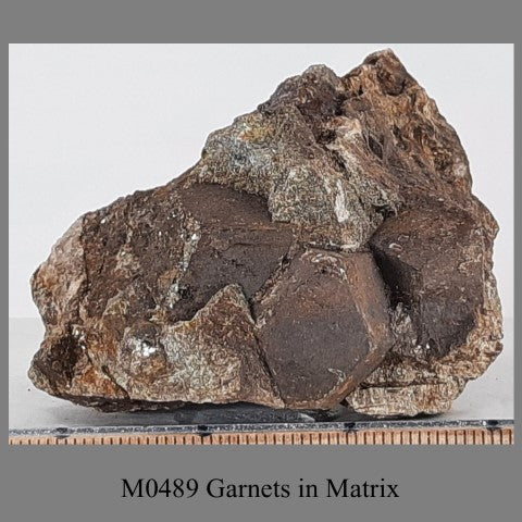 M0489 Garnets in Matrix