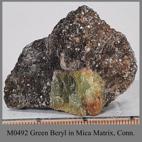 M0492 Green Beryl in Mica Matrix, Conn.