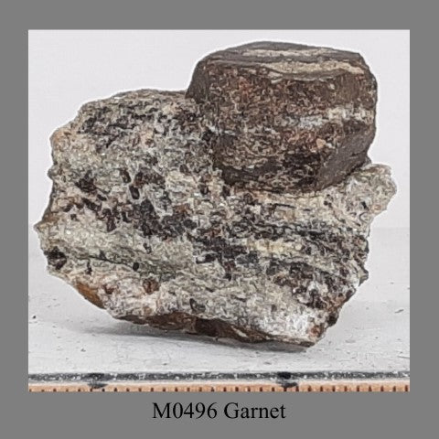 M0496 Garnet