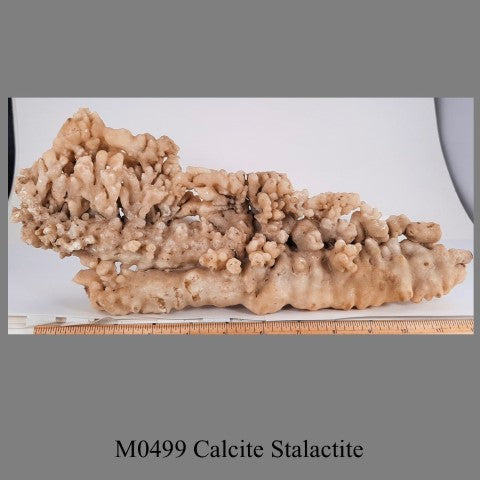 M0499 Calcite Stalactite